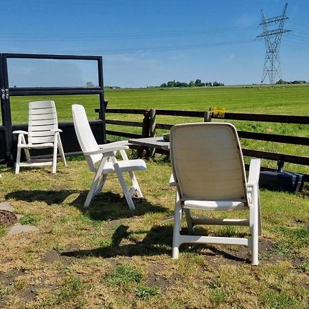 City Farmers Lodge, A Guesthouse With A Skyline View In Rural Amsterdam Bagian luar foto